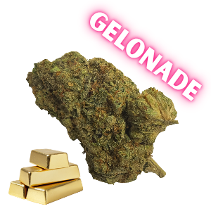 Gelonade- Gold Tier- THCa- Sativa / 3.5g